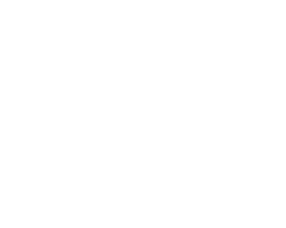 YouTube Link